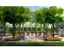 樹陣廣場公園景觀設計